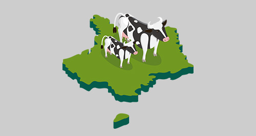 Alimentation animale : les bénéfices de TRADILIN pour les vaches laitières