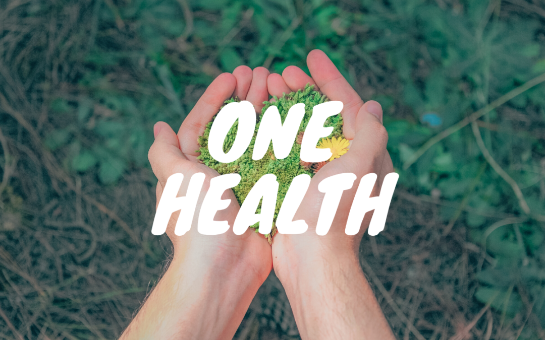 One Health … Santé unique
